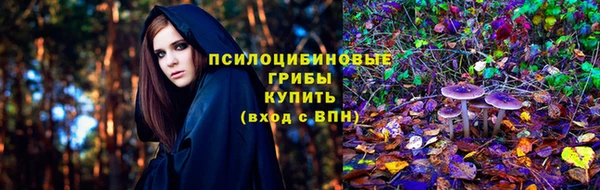 каннабис Бородино