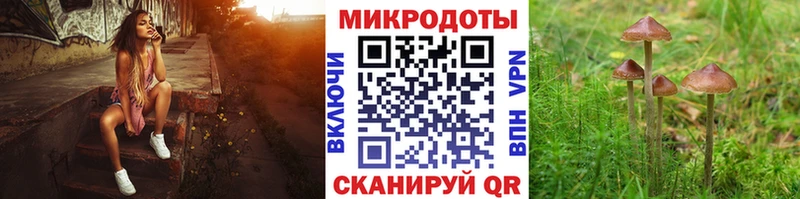 купить наркотики цена  Суворов  Галлюциногенные грибы ЛСД 